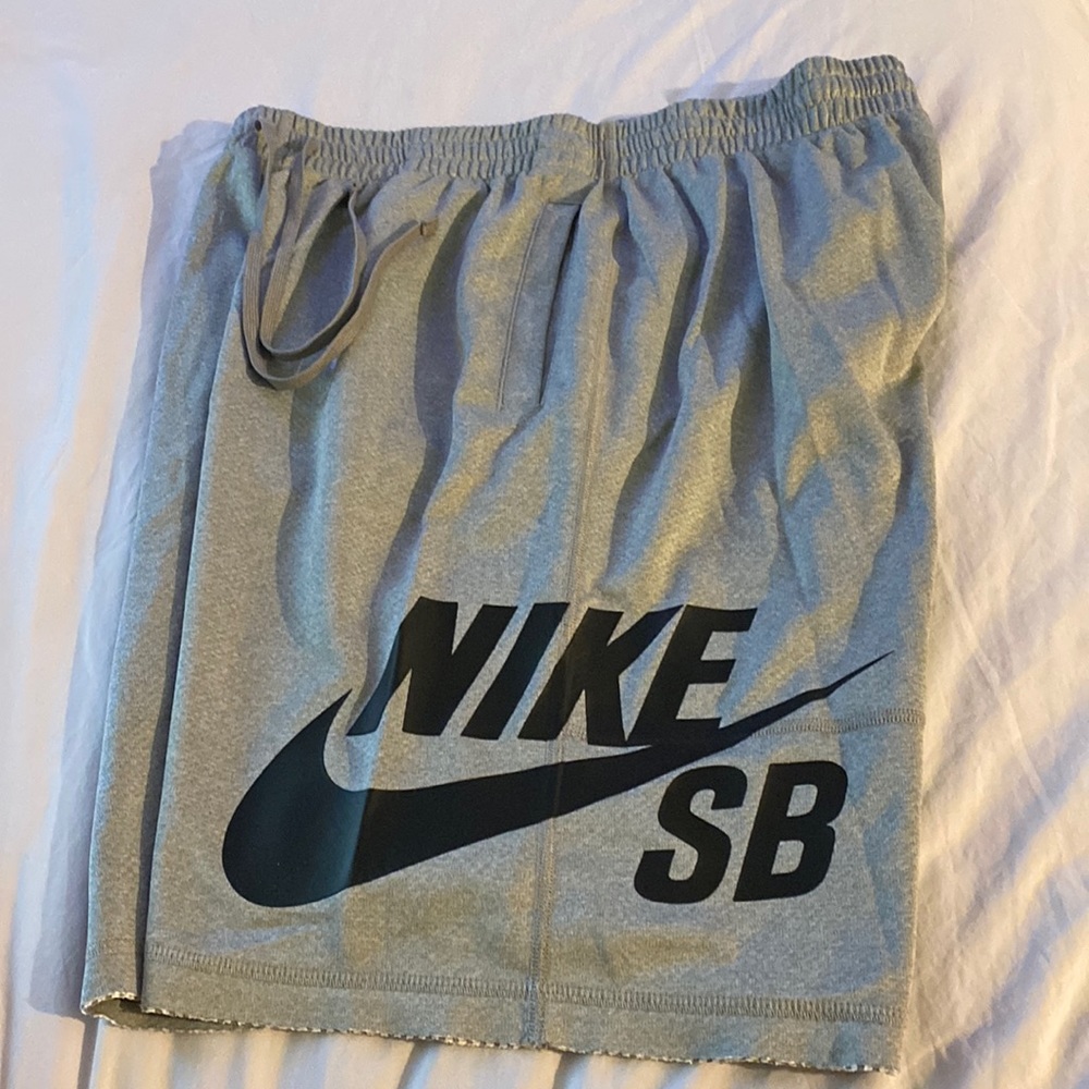 Nike SB shorts